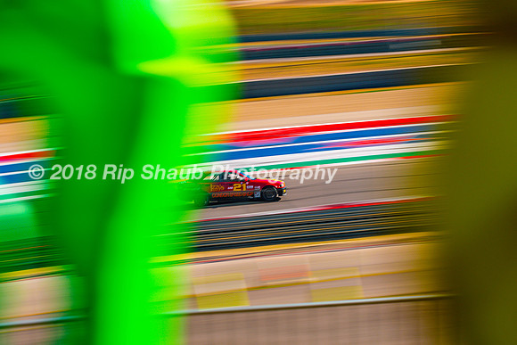 RipShaub_2018-1459